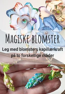 Magiske blomster – Kapillærkraft